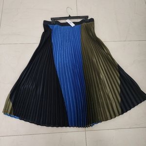 Ann Taylor skirt